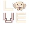 Labrador Hundebesitzer Tier