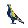 dove