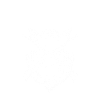 Tête de sanglier