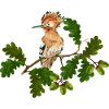 Oiseau