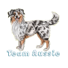 Team Aussie