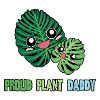 Monstera Daddy