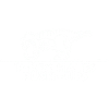 T-Rex Hates Push-Ups