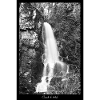 Nest Wasserfall