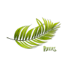 Palms palm tree shirt
