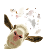 Curious Goat