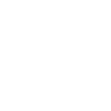 Vincent in Japanese