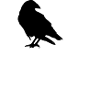 Skull crow