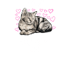 Liebe Katze Mutter Leben Katze