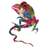 Iguana Asia