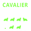 Stubborn Cavalier Tricks