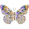 Butterfly, butterfly
