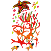 coral