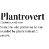 Plantrovert black