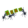Team, group, ant