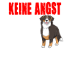 Berner Sennenhund Schweizer Hund