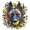 Malinois with ball eclats