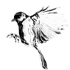 Like a bird