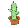 cactus