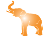 elephant silhouette elephant
