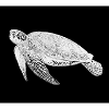 Turtle Line Art Black