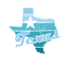 Texas American state
