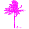 Neon Pink Palm Tree Silhouette