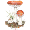 Toadstool
