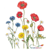 Colourful floral splendour