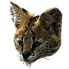 Toile Serval, grands félins, motifs animaliers