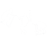 Scooter Tretroller Geschenk