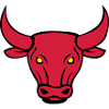 bull 02