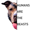 Staffordshire Pitbull