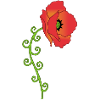Poppy flower and spiral leaves