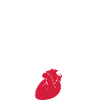 Herz Blumen white