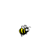 Plüschmors, Hummel, Plattdeutsch