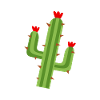 Cactus, cacti, succulents, cactus plants