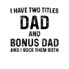 Step Dad Fathers Day Gift, Step Dad T-Shirt, I Hav