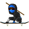 Skater Sloth Ninja Skate Gift