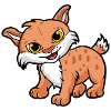 lynx