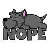 Nope Scottish Terrier dog