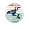 Orca