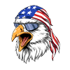 USA Eagle - USA Eagle Biker