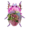 Bunter Blütenkäfer