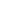 automobile