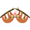 Sloth lovers heart
