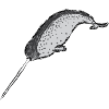 Narwal / Narwhal Design I