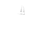 Boat Evolution