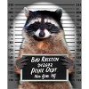 Raccoon Police Raccoon Photo i fängelse