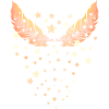 feathers and stars